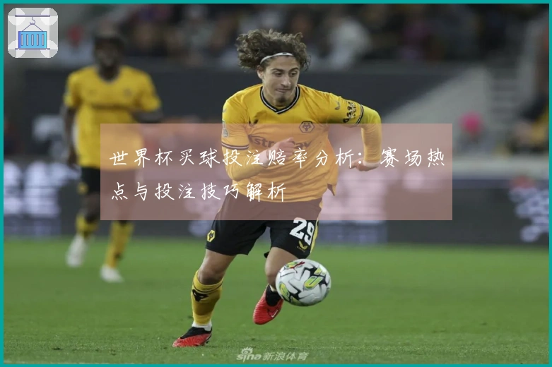 世界杯买球投注赔率分析：赛场热点与投注技巧解析