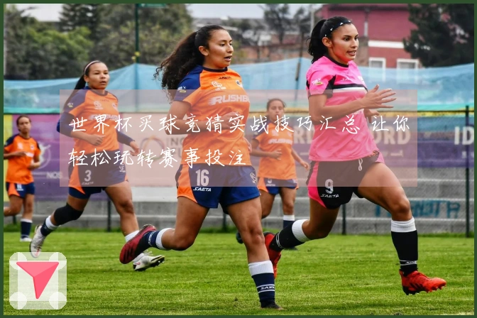 世界杯买球竞猜实战技巧汇总 让你轻松玩转赛事投注