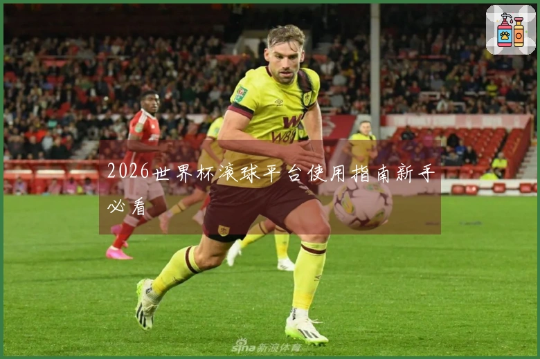 2026世界杯滚球平台使用指南新手必看