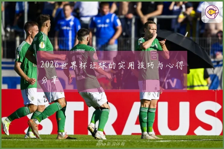 2026世界杯让球的实用技巧与心得分享