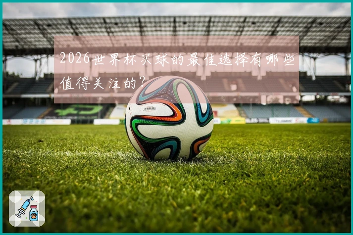 2026世界杯买球的最佳选择有哪些值得关注的？