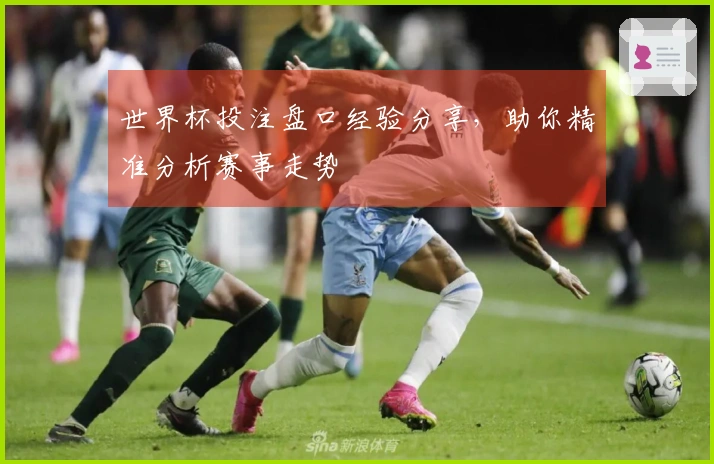 世界杯投注盘口经验分享，助你精准分析赛事走势