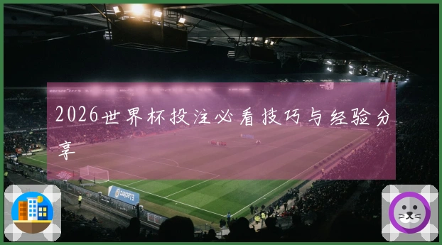 2026世界杯投注必看技巧与经验分享
