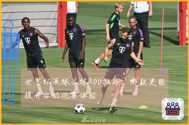 世界杯滚球买球App推荐：哪款更能提升你的观赛体验