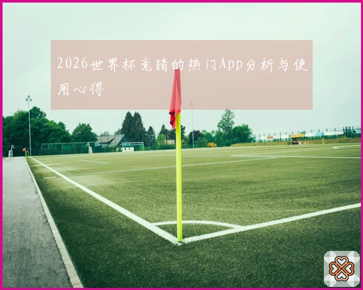 2026世界杯竞猜的热门App分析与使用心得