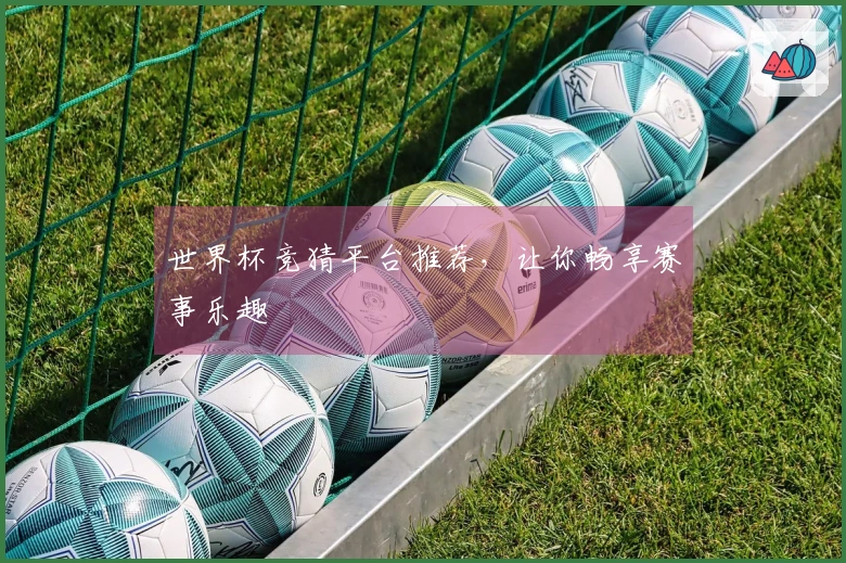 世界杯竞猜平台推荐，让你畅享赛事乐趣