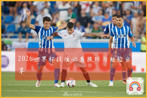 2026世界杯投注必看技巧与经验分享