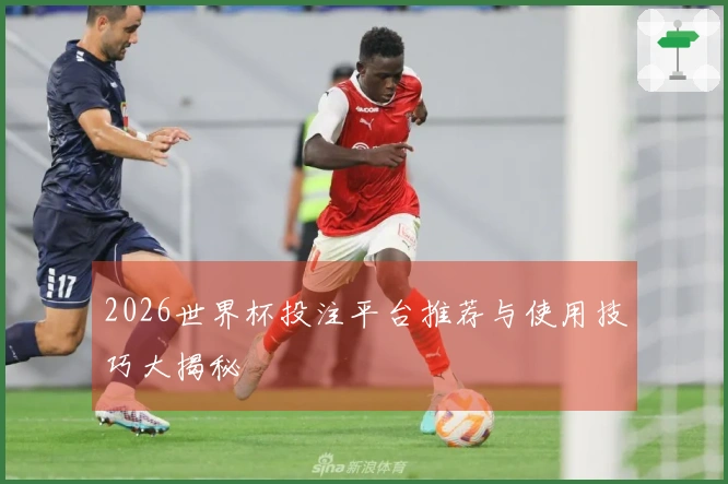 2026世界杯投注平台推荐与使用技巧大揭秘
