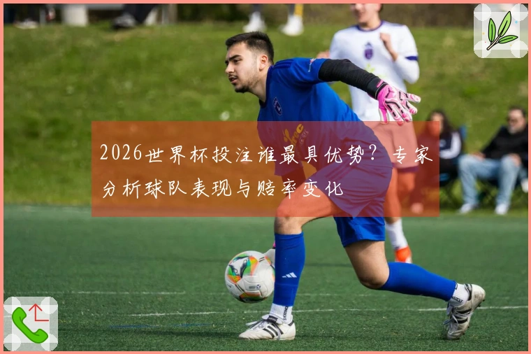 2026世界杯投注谁最具优势？专家分析球队表现与赔率变化