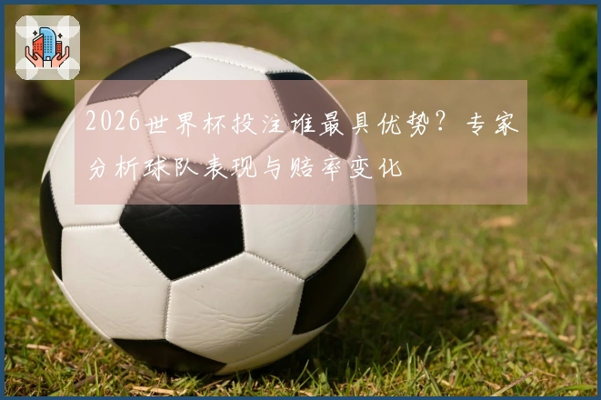 2026世界杯投注谁最具优势？专家分析球队表现与赔率变化