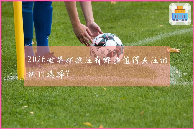 2026世界杯投注有哪些值得关注的热门选择？