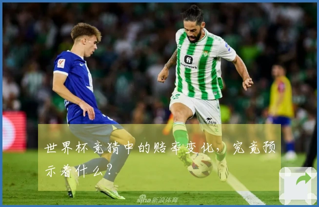 世界杯竞猜中的赔率变化，究竟预示着什么？