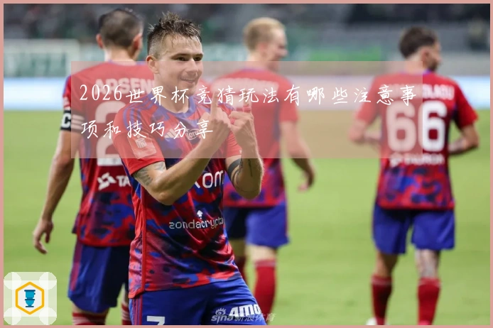 2026世界杯竞猜玩法有哪些注意事项和技巧分享