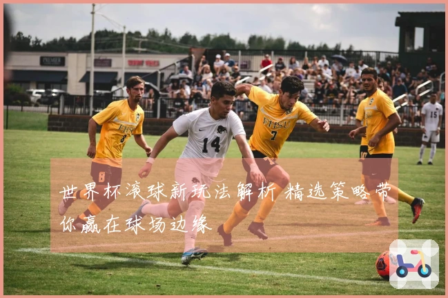 世界杯滚球新玩法解析 精选策略带你赢在球场边缘