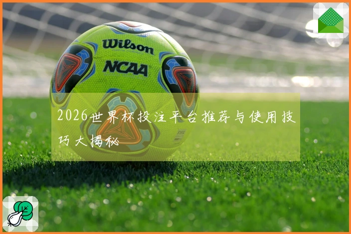 2026世界杯投注平台推荐与使用技巧大揭秘