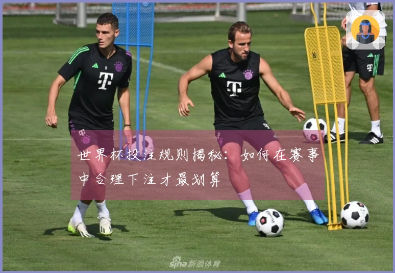 世界杯投注规则揭秘：如何在赛事中合理下注才最划算