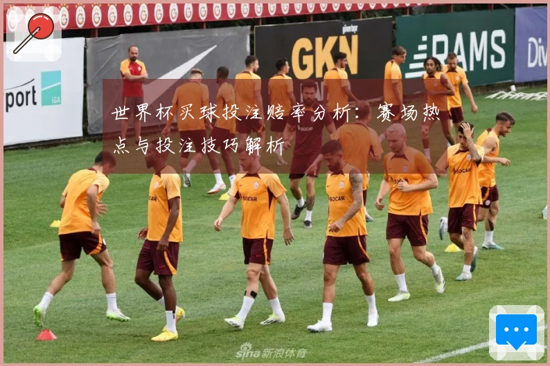 世界杯买球投注赔率分析：赛场热点与投注技巧解析