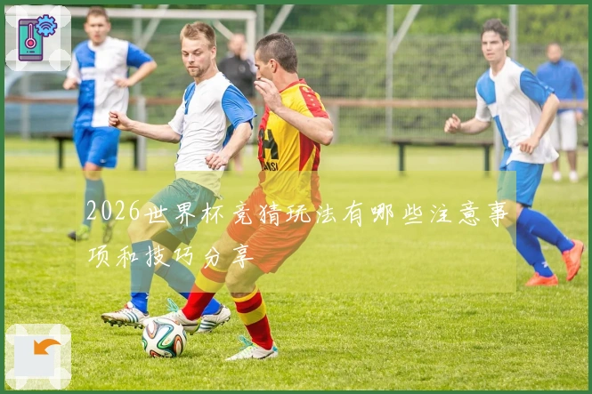2026世界杯竞猜玩法有哪些注意事项和技巧分享